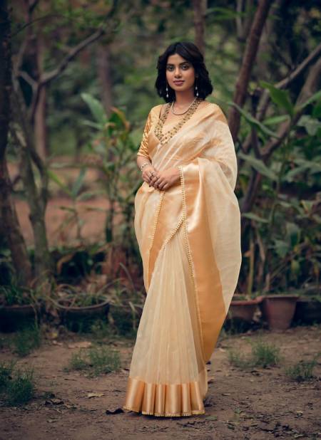 Raksha By Kashvi 1001-1008 Party Wear Sarees Catalog